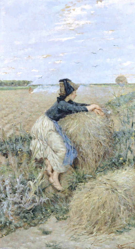 Erba di grano a Tombolo
